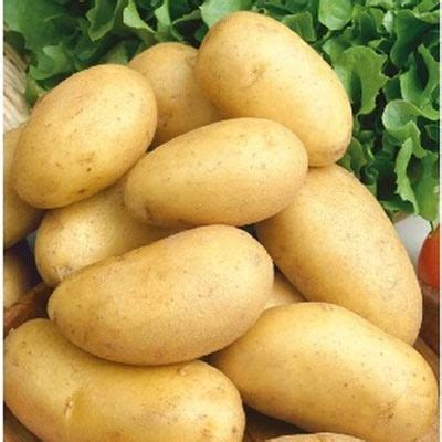 Купить клубни семенного картофеля в Краснодарском крае – доставка ...