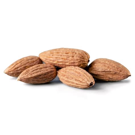 Download Almond On White Png Xwd | Wallpapers.com