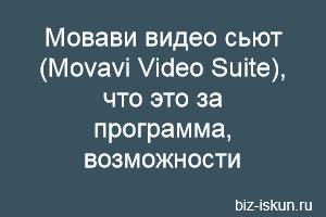 Что это за программа Мовави видео сьют, возможности Блог Ивана Кунпана
