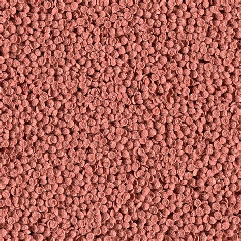 alcon acara disco  hobbypet