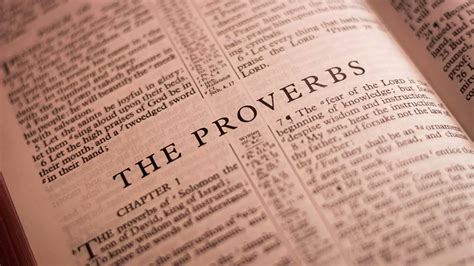 english proverbs  students  meanings studio english