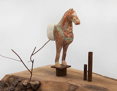 Turquoise bridle | Behance