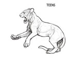 (Retired) Tigon Hype - Lioden Wiki