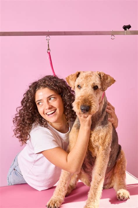 Lakeland Terrier - V.O.G DOG
