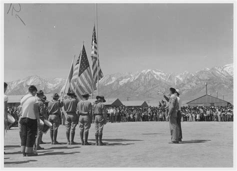 BoyScouts – Still Packed