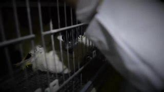 File:Emma's Story- The Truth Behind Prop 2.webm - Wikimedia Commons