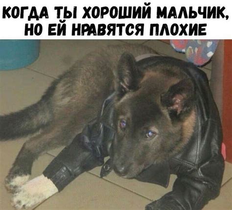 Смешные короткие анекдоты (10 шт) - 1. - В браке противоположности ...