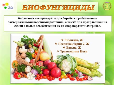 Биологические средства защиты растений - online presentation