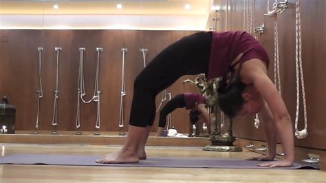 Випарита Дандасана. Мостик на локтях. Dvi Pada Viparita Dandasana. Full ...