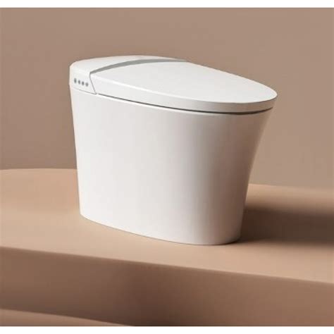 Умный унитаз Xiaomi Diiib Antibacterial Smart Toilet 305mm (DXMT001-305)