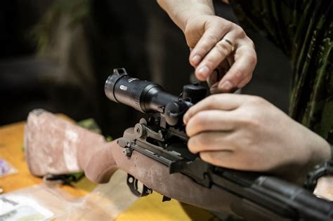 M14 modified | laststandonzombieisland