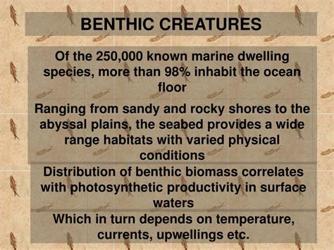 PPT - Benthic Environment PowerPoint Presentation, free download - ID ...