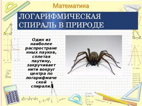 Презентация: "Логарифмы"