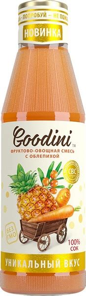 Сок Goodini Фруктово-овощная смесь с облепихой, 0,75 л - купить с ...