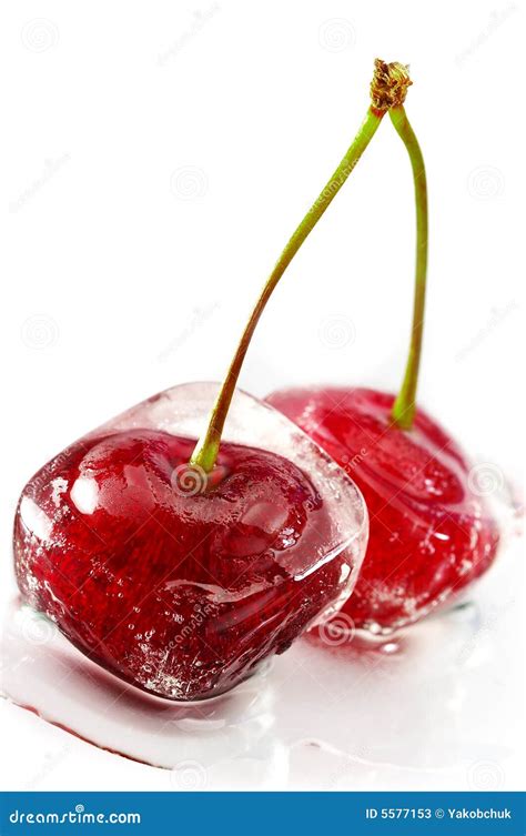 Sweet cherry stock image. Image of macro, gourmet, cold - 5577153