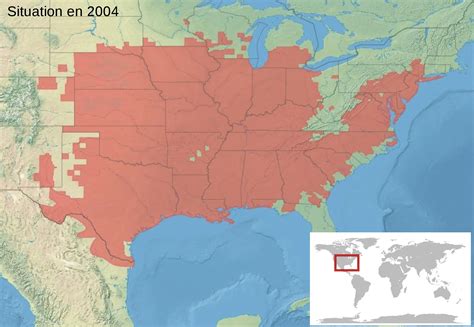 Northern cricket frog - Facts, Diet, Habitat & Pictures on Animalia.bio