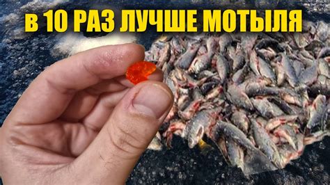 Мотыля больше не покупаю. Эта наживка в 10 раз уловистее мотыля. Для ...