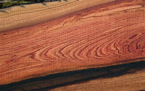 threatened west african rosewood species  cites protection news