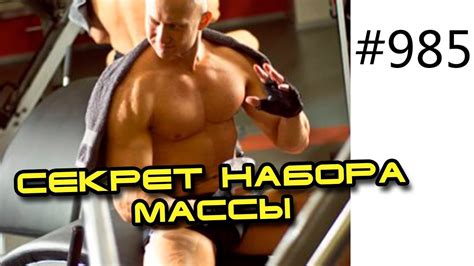Секрет набора массы для хардгейнеров и эктоморфов от Юрия ...