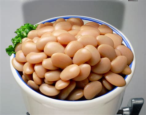 educational tools canned beans