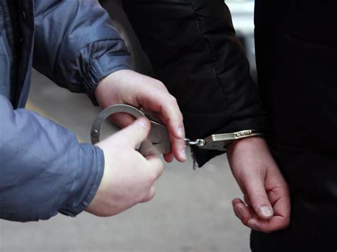 Ст 447 УПК РФ с комментариями: спецсубъекты и особый порядок производства