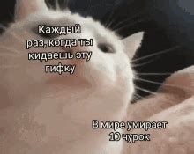 Nirmal17021991 GIF - Nirmal17021991 - Descobrir e Compartilhar GIFs