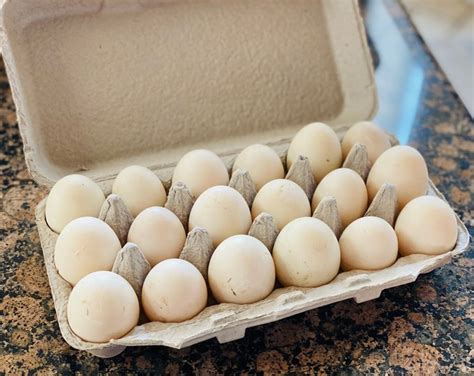 18 Farm-fresh Organic Duck Eggs - Etsy