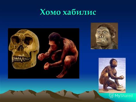 Презентация на тему: "ХОРАТА ИДВАТ или палеонтологична история на ...