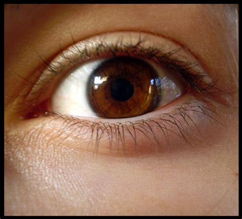 pictures  eyes  windows   soul page