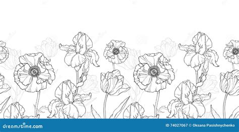 Vector Vintage Black White Flowers Drawing Horizontal Border Seamless ...