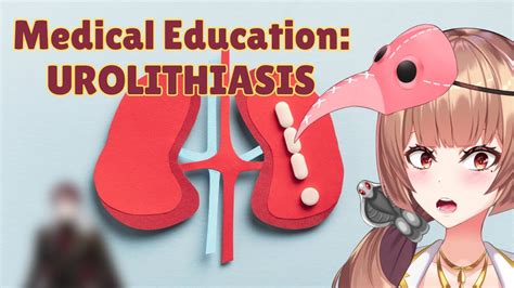 Medical Education Stream: Urolithiasis - YouTube