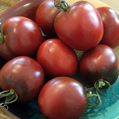 Лучшие сорта томатов для Подмосковья | Красивый Дом и Сад | Vegetable ...